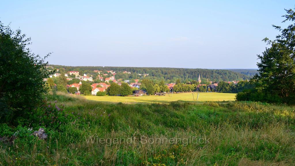 Apartamento Sonnenglück mit Schwimmbad Braunlage Habitación foto