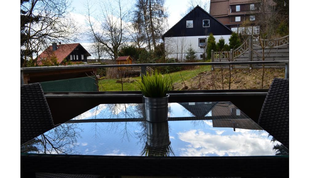 Apartamento Sonnenglück mit Schwimmbad Braunlage Exterior foto